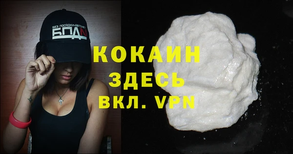 прущие грибы Лихославль