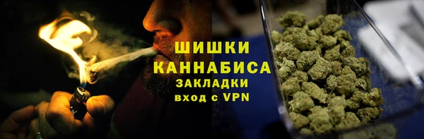 прущие грибы Лихославль