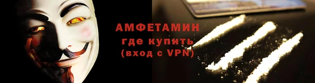 прущие грибы Лихославль