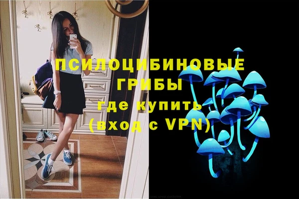 прущие грибы Лихославль